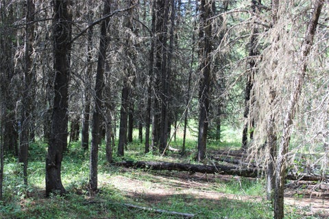 Tiny photo for 3380 Swamp Creek Road, Trego, MT 59934 (MLS # 30077093)