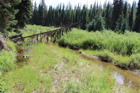 Tiny photo for 3380 Swamp Creek Road, Trego, MT 59934 (MLS # 30077093)