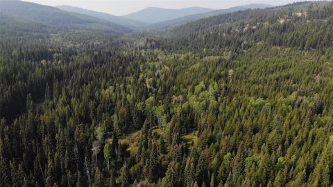 Tiny photo for 3380 Swamp Creek Road, Trego, MT 59934 (MLS # 30077093)