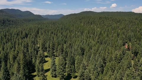 Photo of 1550 Lost Creek Drive, Kalispell, MT 59901 (MLS # 30074942)