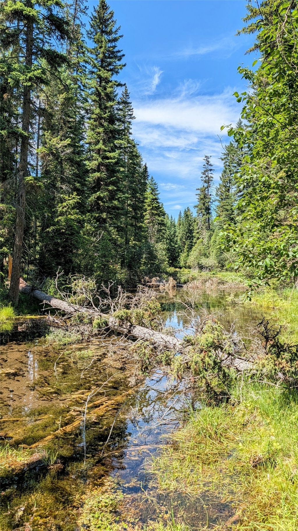 Photo of 1550 Lost Creek Drive, Kalispell, MT 59901 (MLS # 30074942)