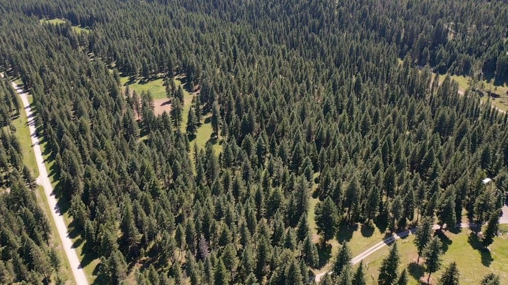 Photo of 1550 Lost Creek Drive, Kalispell, MT 59901 (MLS # 30074942)