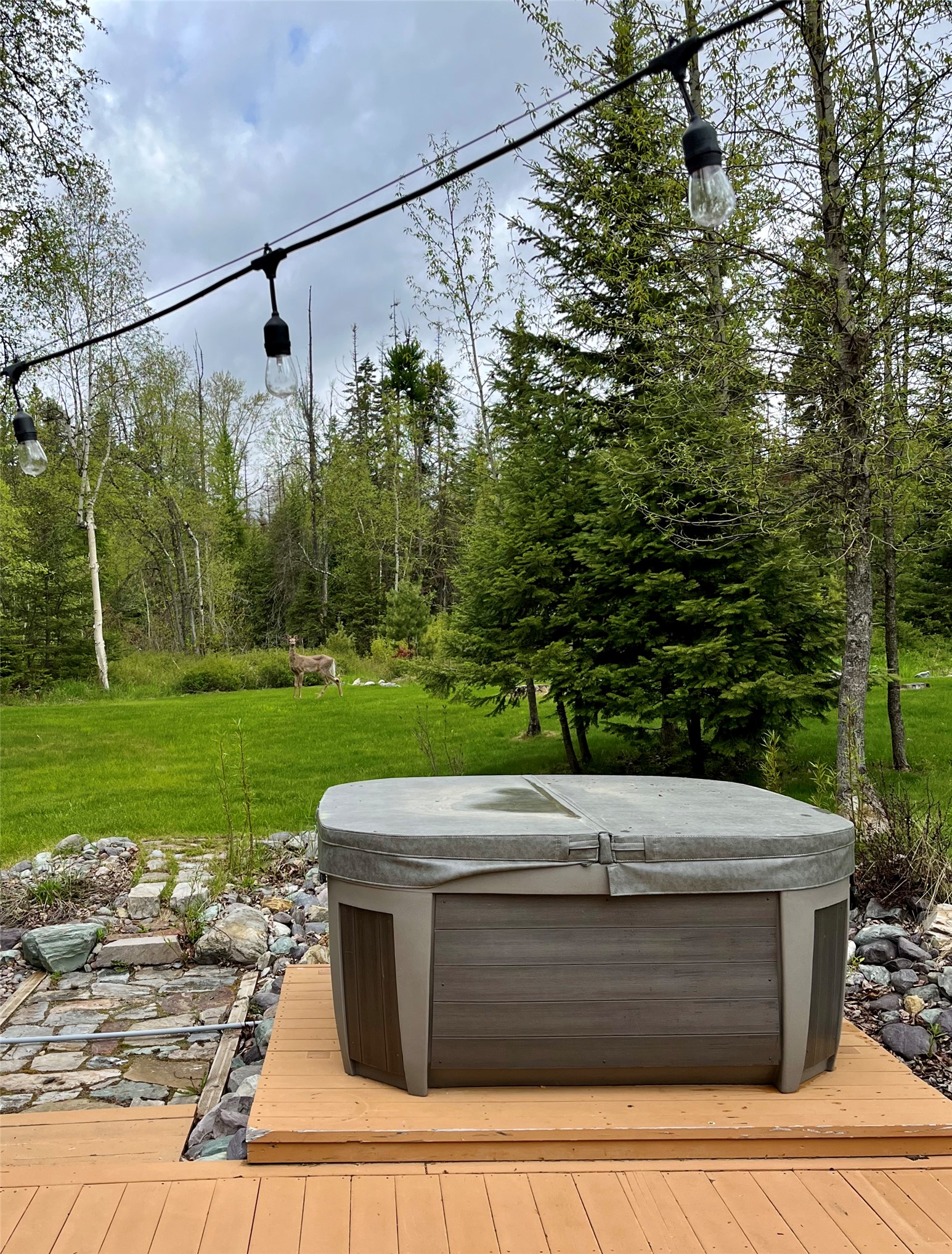 341 Burly Bear Trail