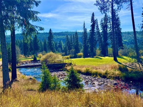 Tiny photo for 216 Silvertip Trail, Seeley Lake, MT 59868 (MLS # 30076487)