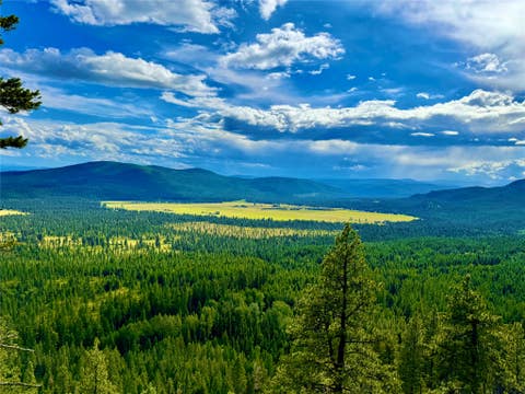 Tiny photo for 216 Silvertip Trail, Seeley Lake, MT 59868 (MLS # 30076487)