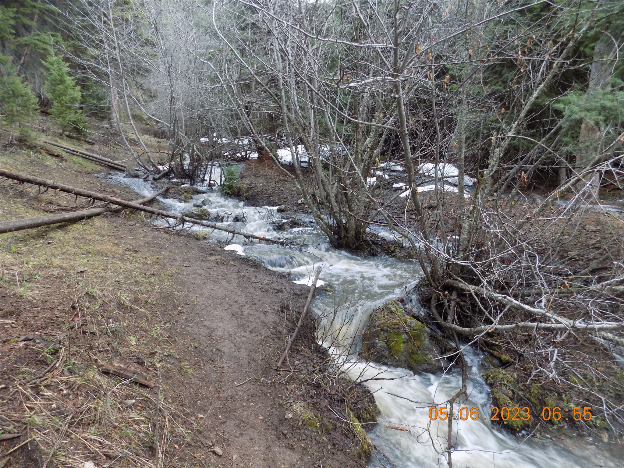 6 Cramer Springs Trail