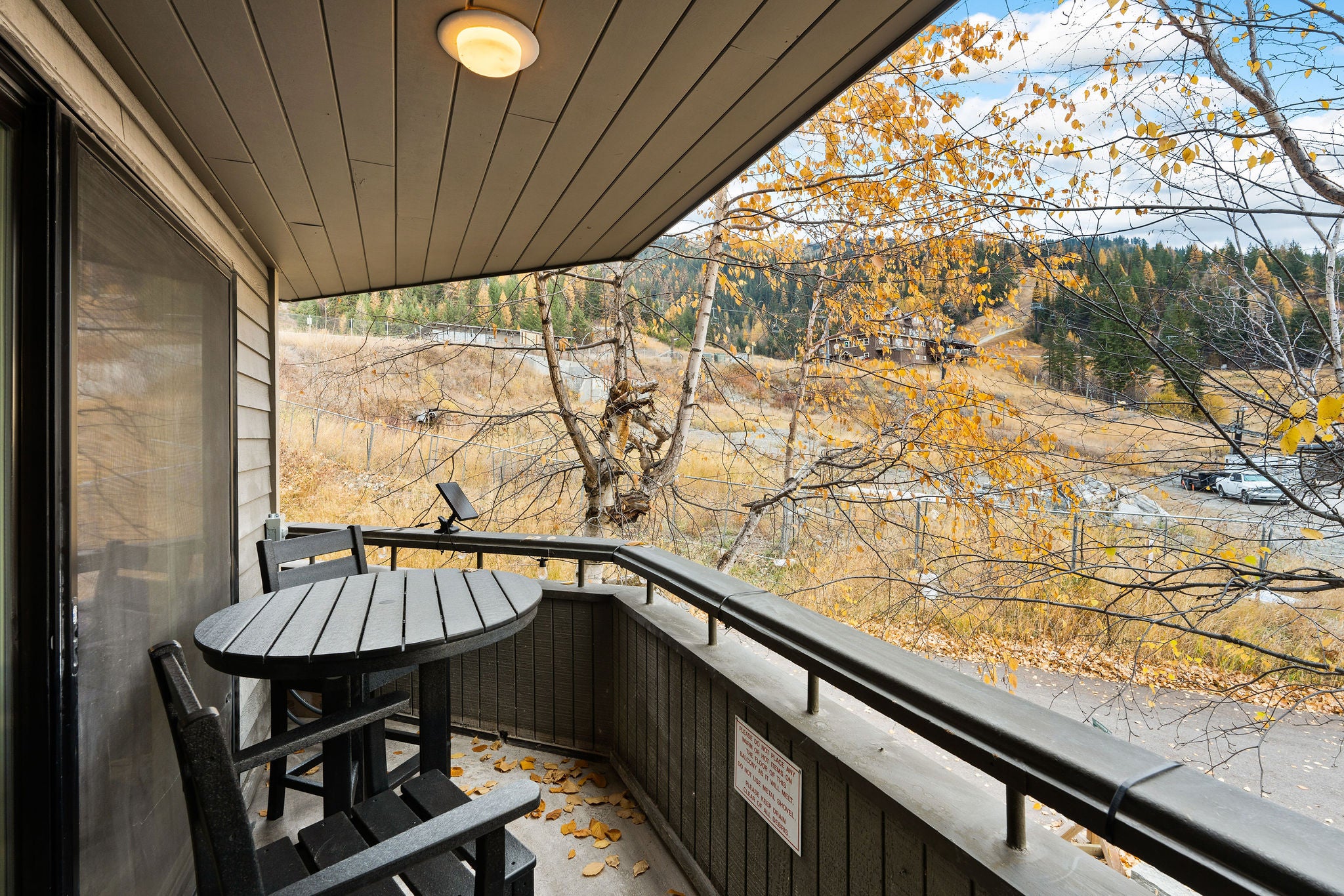 3898 Big Mountain Road 203