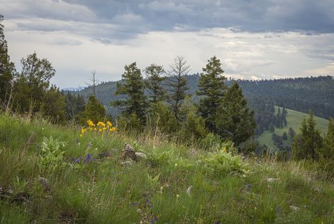 10 and 11 Tract, Bull Elk Drummond MT 59832