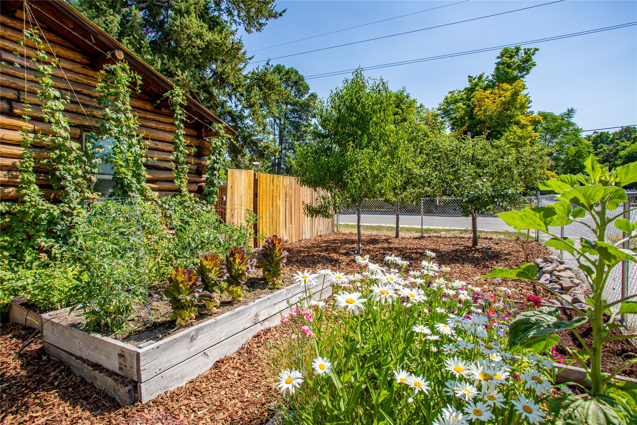 Missoula, Montana 59801, United States, 1 Bedroom Bedrooms, ,1 BathroomBathrooms,Residential,Pending,50941