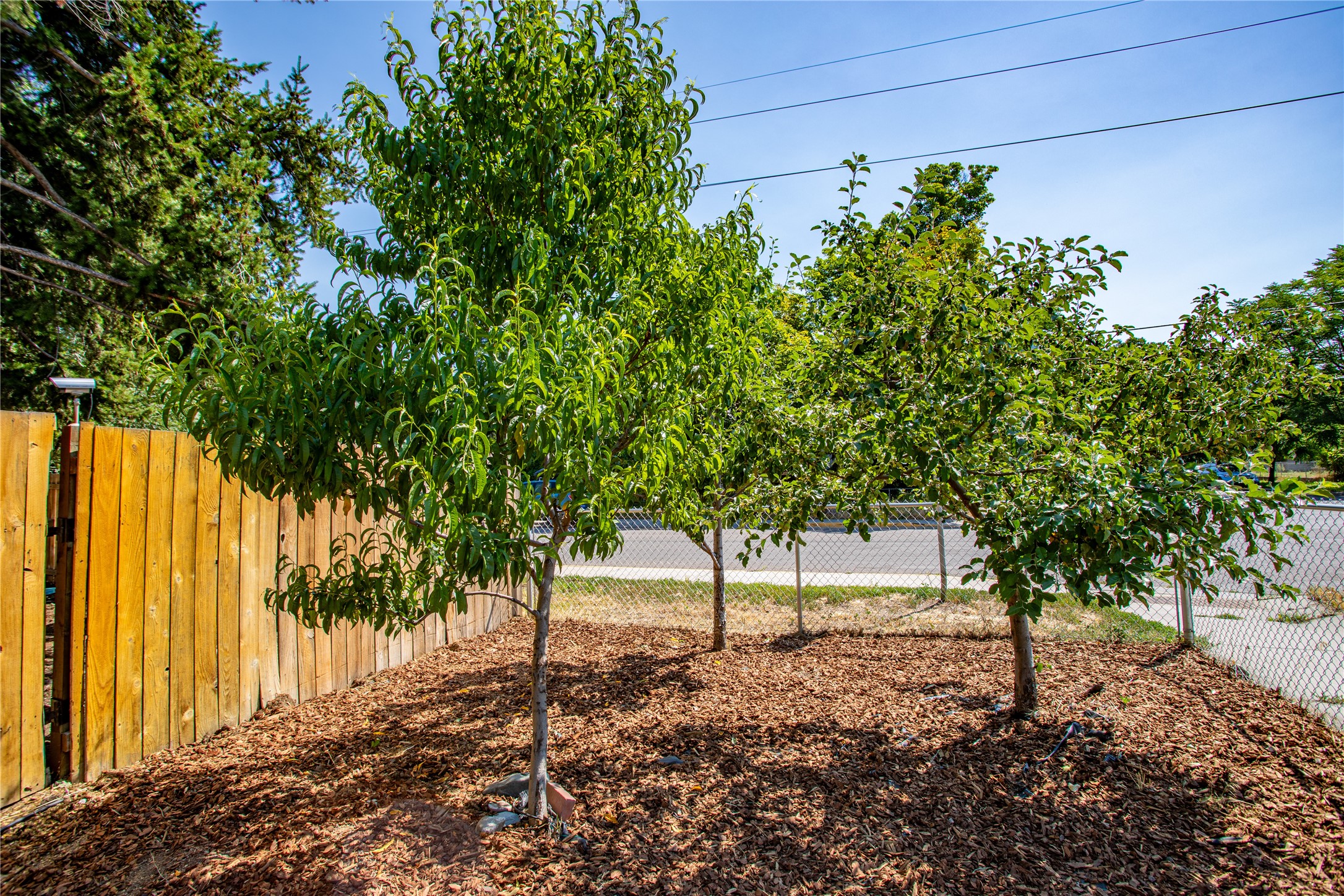 Missoula, Montana 59801, United States, 1 Bedroom Bedrooms, ,1 BathroomBathrooms,Residential,Pending,50941