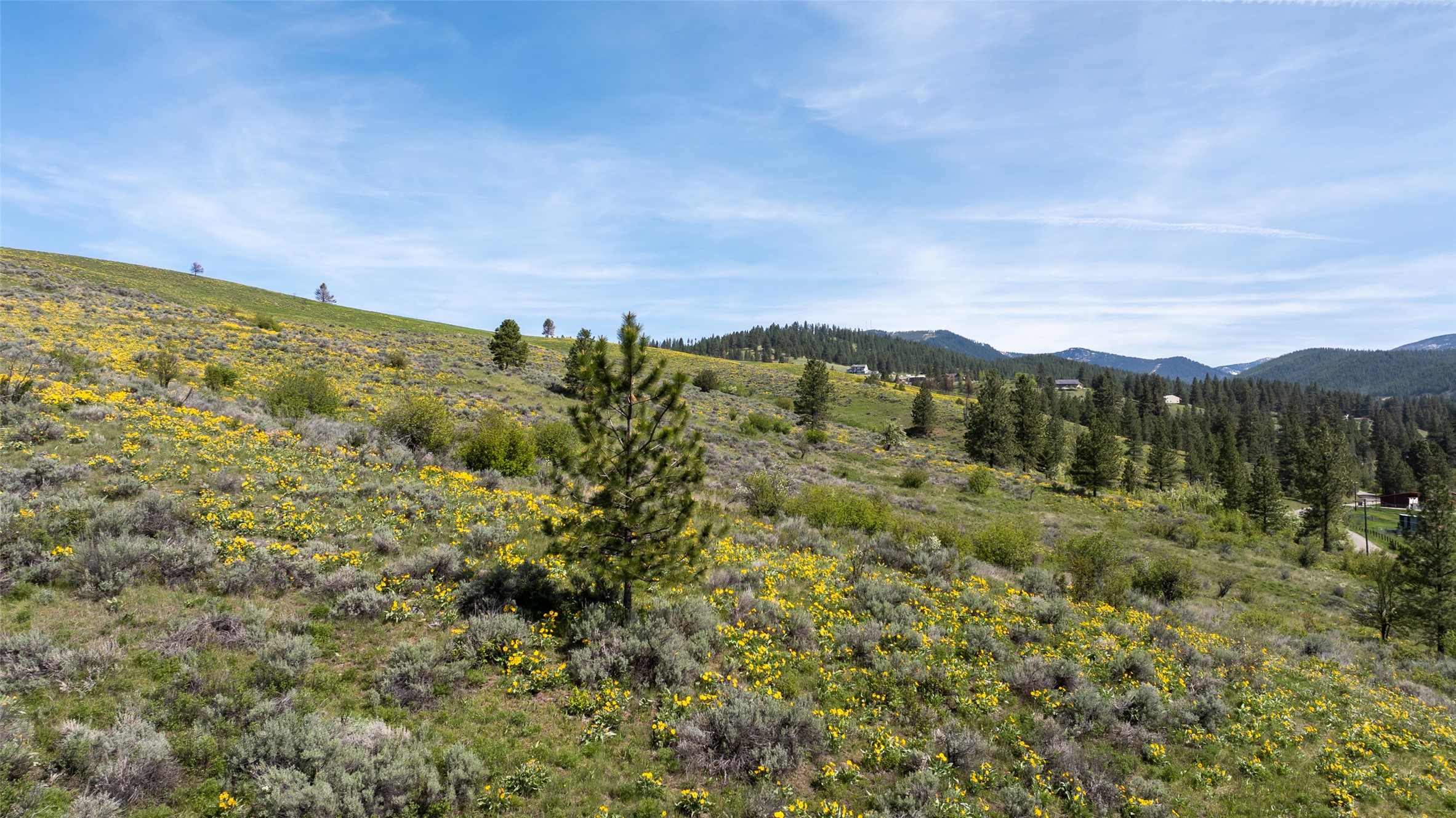 Missoula, Montana 59808, United States, ,Land,Active,96477