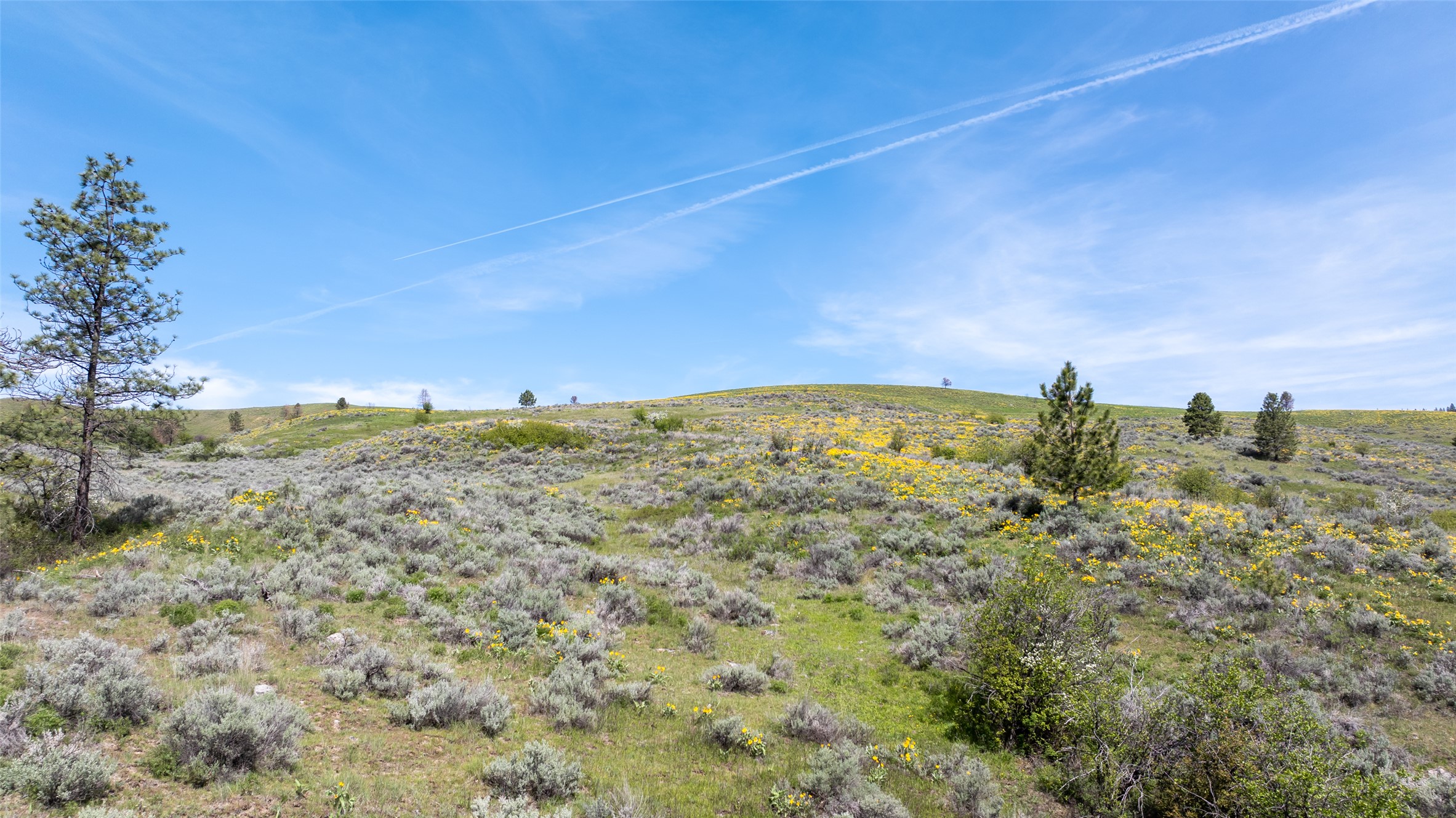 Missoula, Montana 59808, United States, ,Land,Active,96477