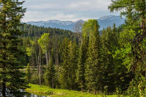 Tiny photo for 463 Tamarack Creek Road, Whitefish, MT 59937 (MLS # 30076920)