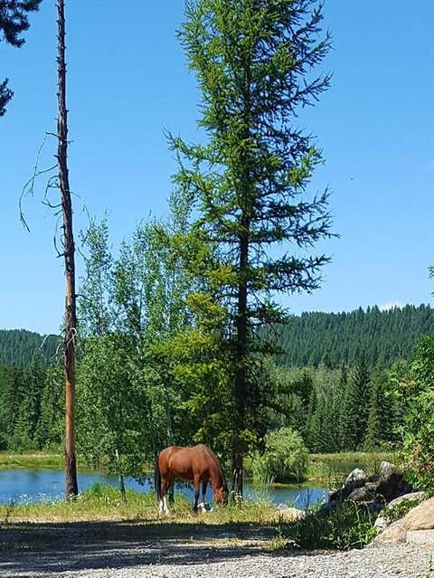 Tiny photo for 463 Tamarack Creek Road, Whitefish, MT 59937 (MLS # 30076920)