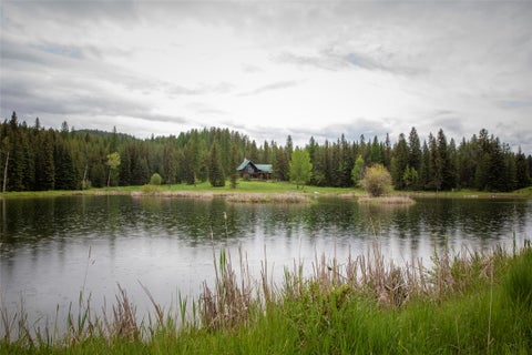 Tiny photo for 463 Tamarack Creek Road, Whitefish, MT 59937 (MLS # 30076920)
