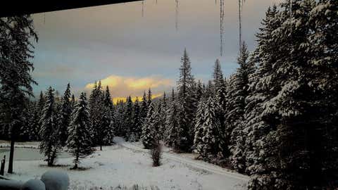 Tiny photo for 463 Tamarack Creek Road, Whitefish, MT 59937 (MLS # 30076920)