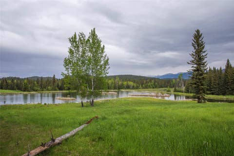 Tiny photo for 463 Tamarack Creek Road, Whitefish, MT 59937 (MLS # 30076920)