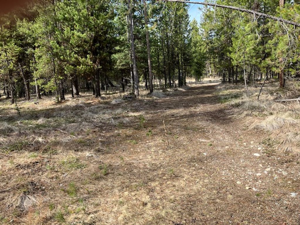 Photo of 178 Idaho Hill Road, Marion, MT 59925 (MLS # 30069669)