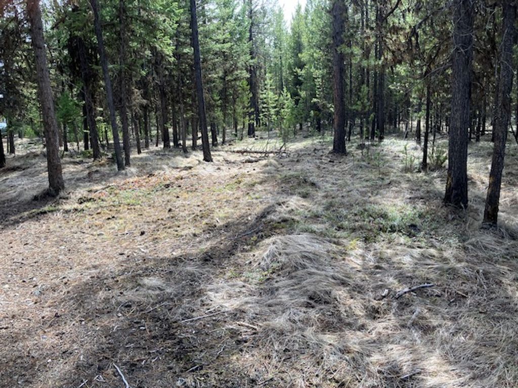 Photo of 178 Idaho Hill Road, Marion, MT 59925 (MLS # 30069669)