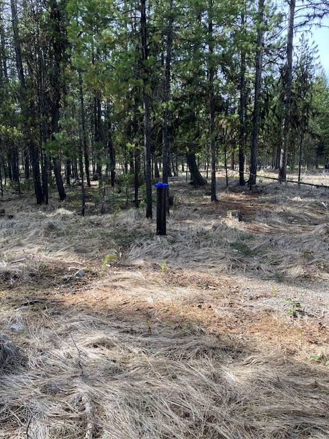 Photo of 178 Idaho Hill Road, Marion, MT 59925 (MLS # 30069669)