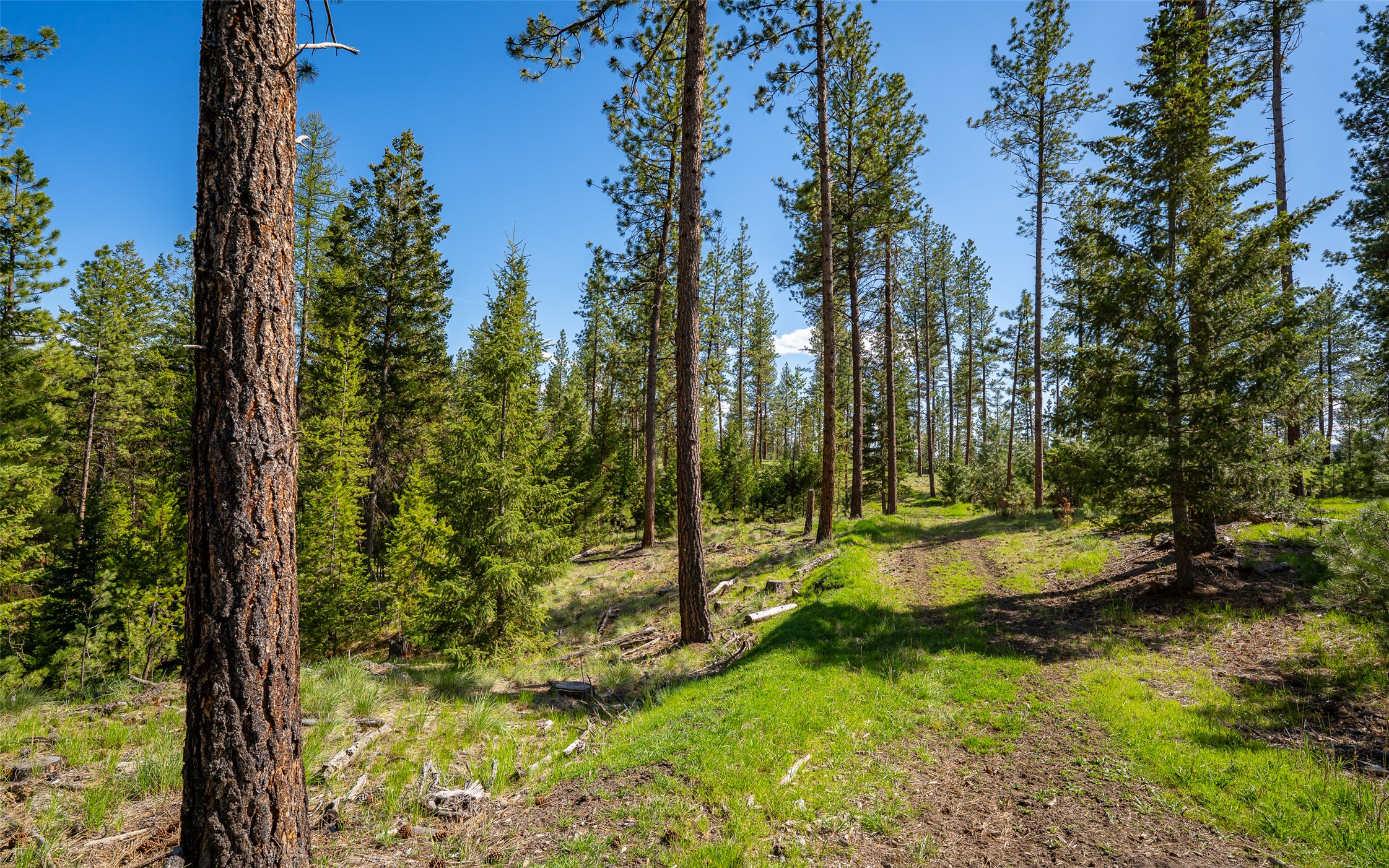 3605 Hubbart Dam Road