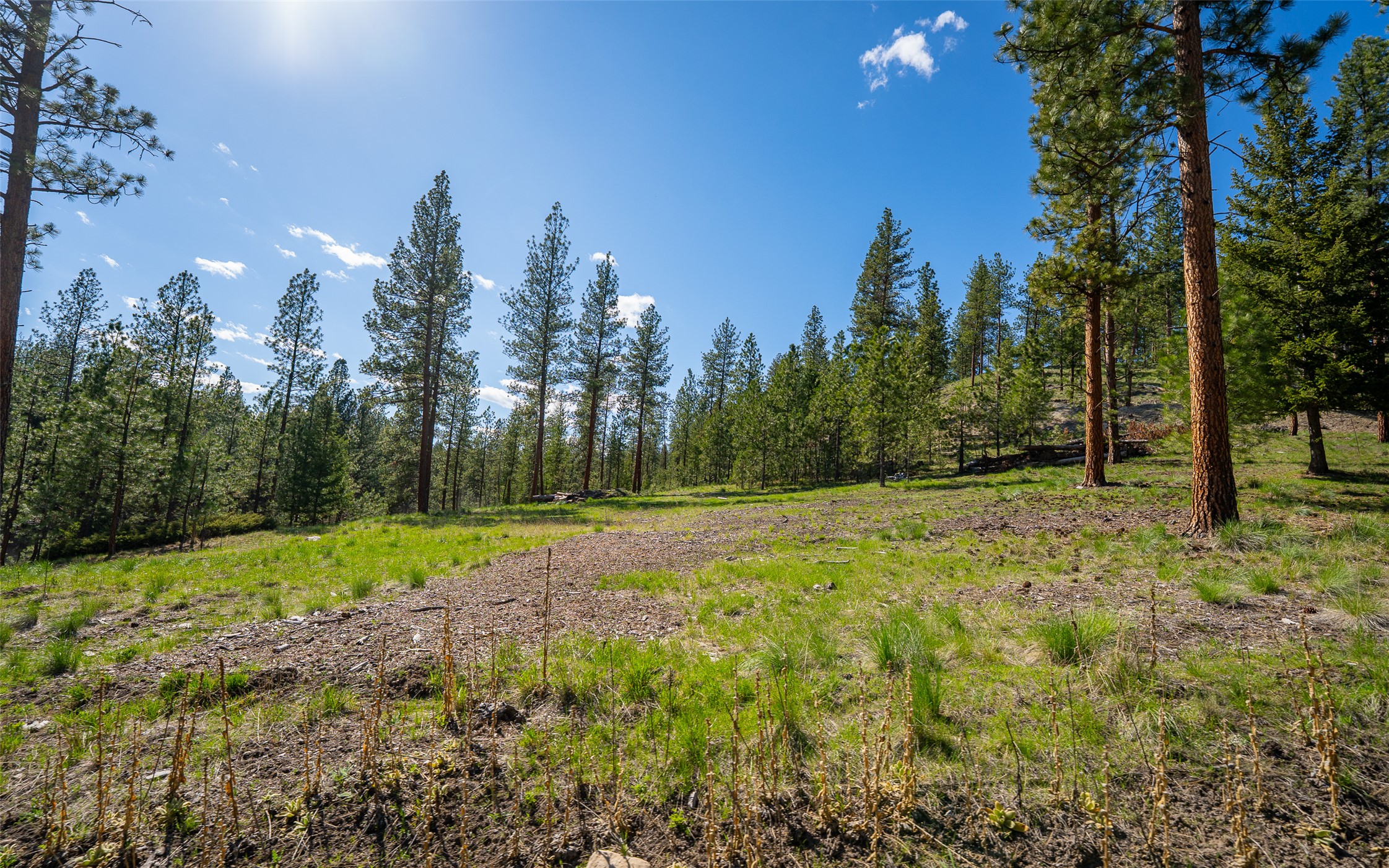 3605 Hubbart Dam Road