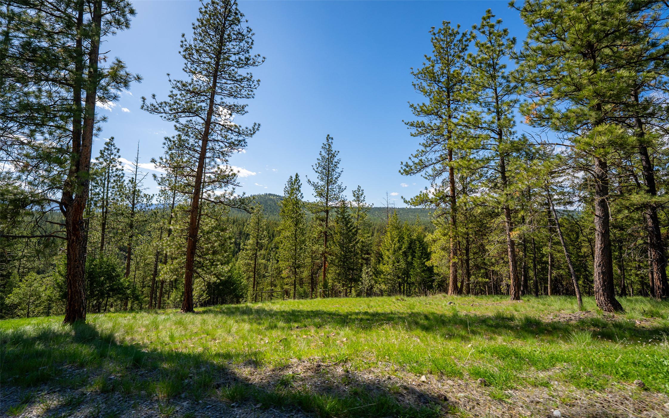3605 Hubbart Dam Road