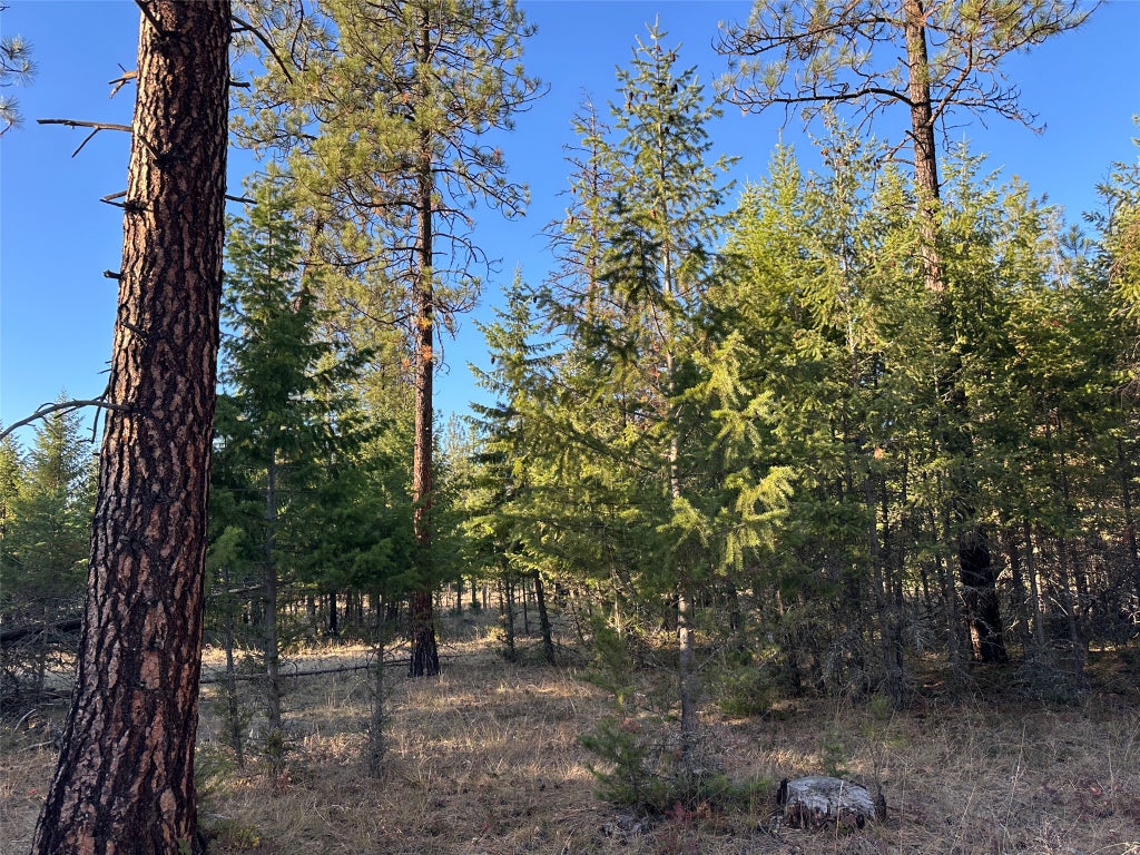 Photo of NHN Cherry Creek Road, Thompson Falls, MT 59873 (MLS # 30079819)