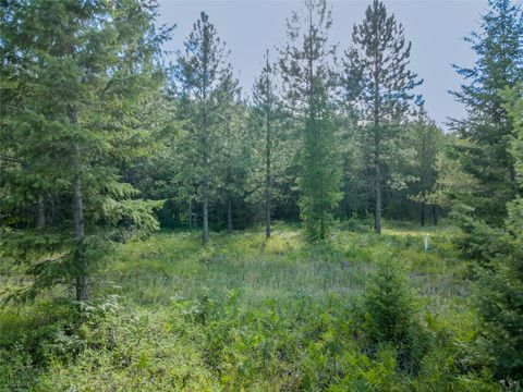 Tiny photo for NHN Little Bear Loop, Troy, MT 59935 (MLS # 30071333)