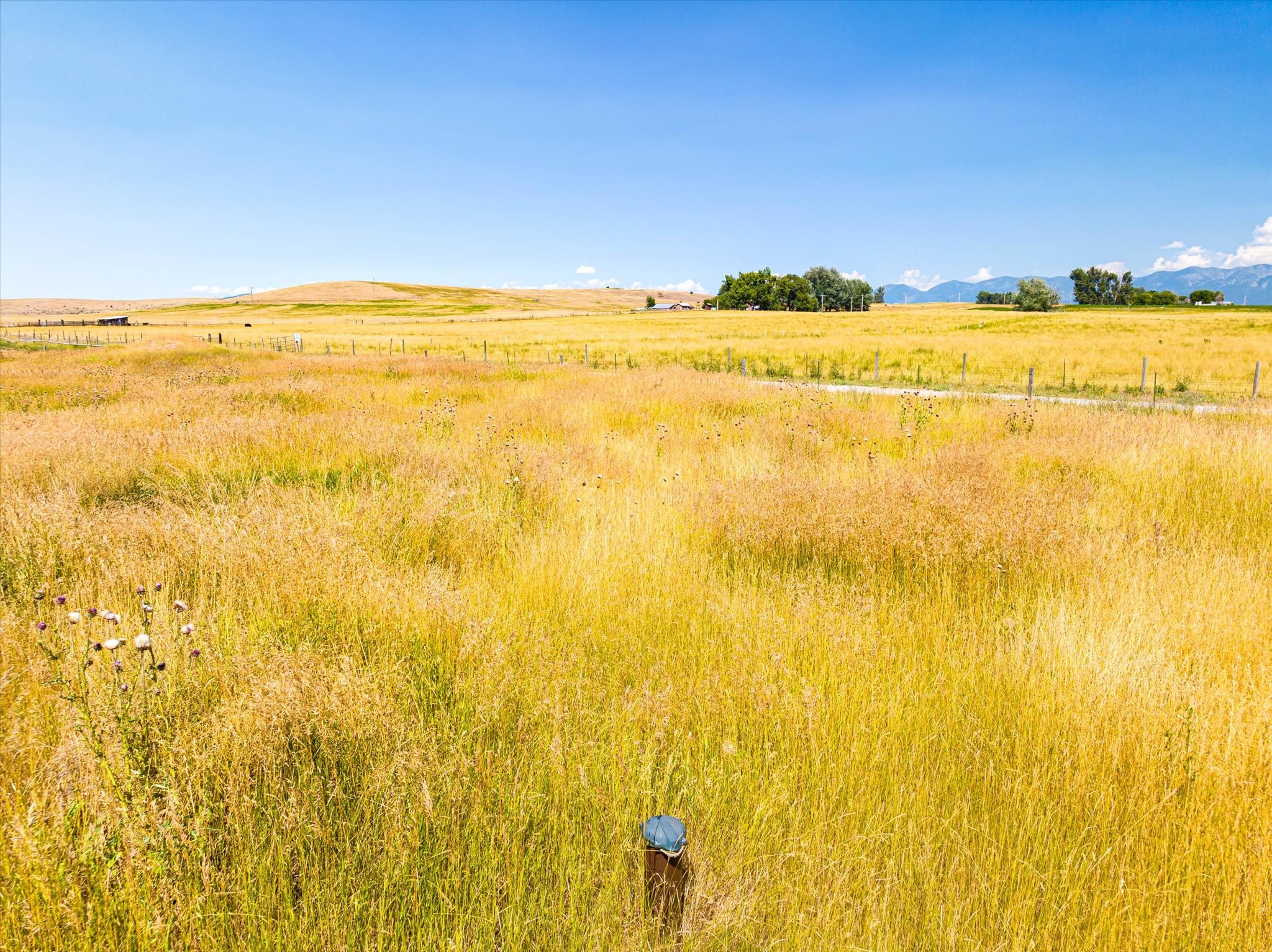 Polson, Montana 59860, United States, ,Land,Active,71454