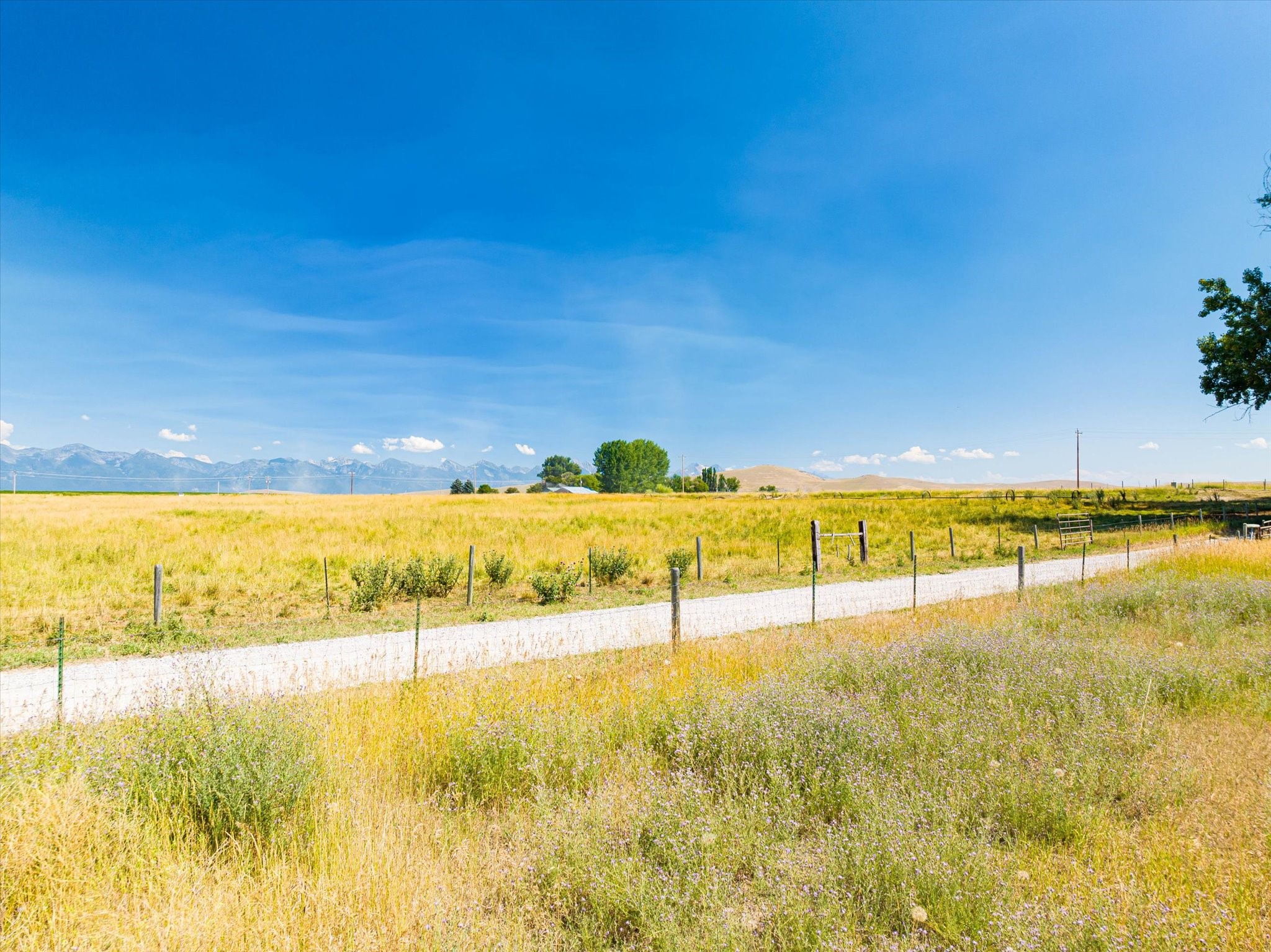 Polson, Montana 59860, United States, ,Land,Active,71454