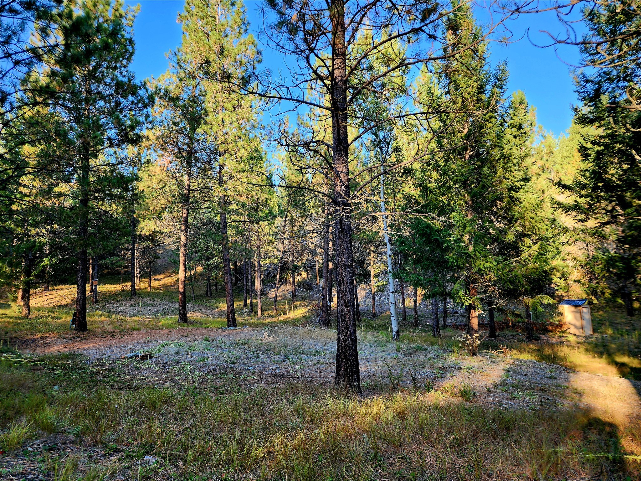 752 Tripp Trail