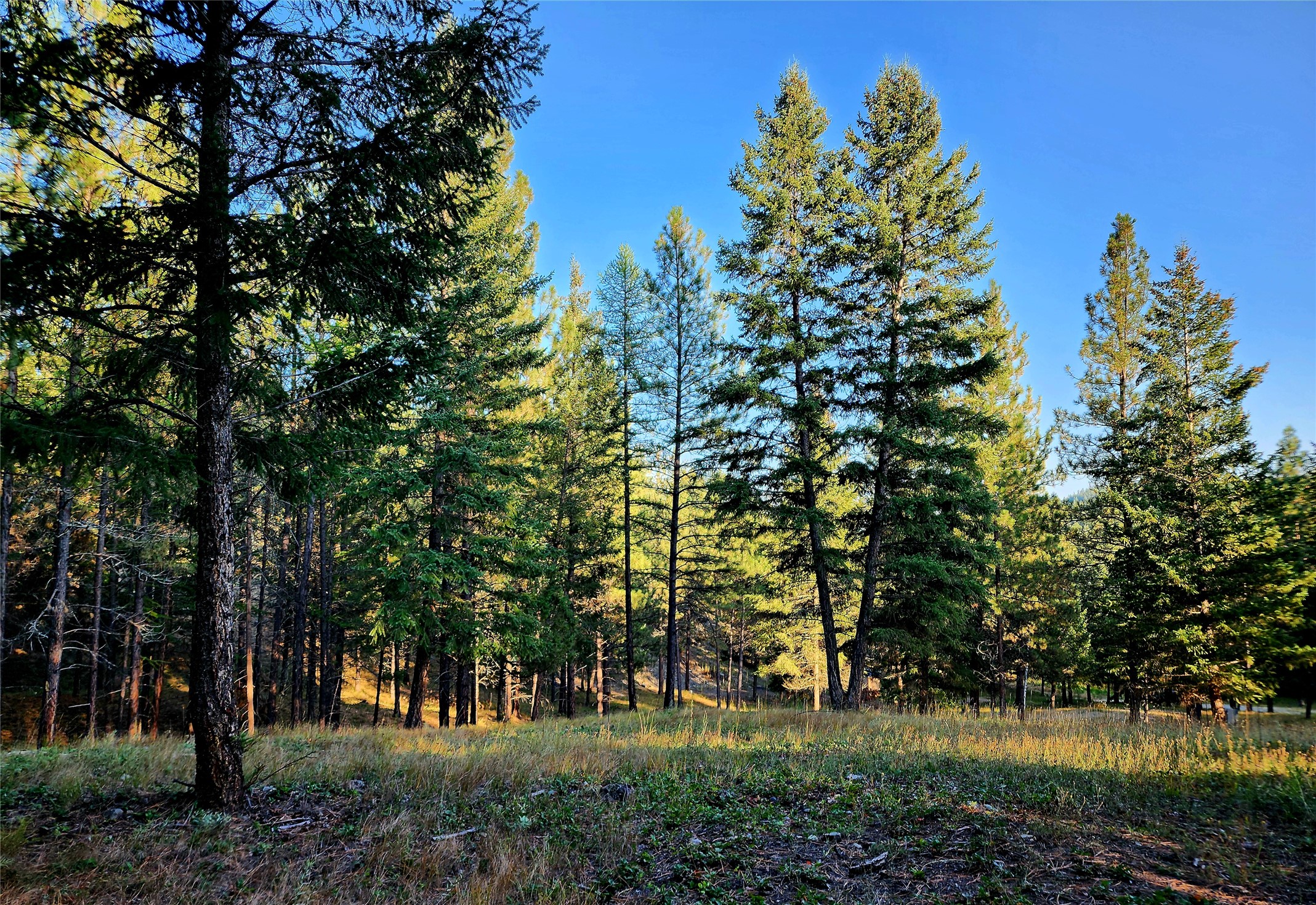 752 Tripp Trail
