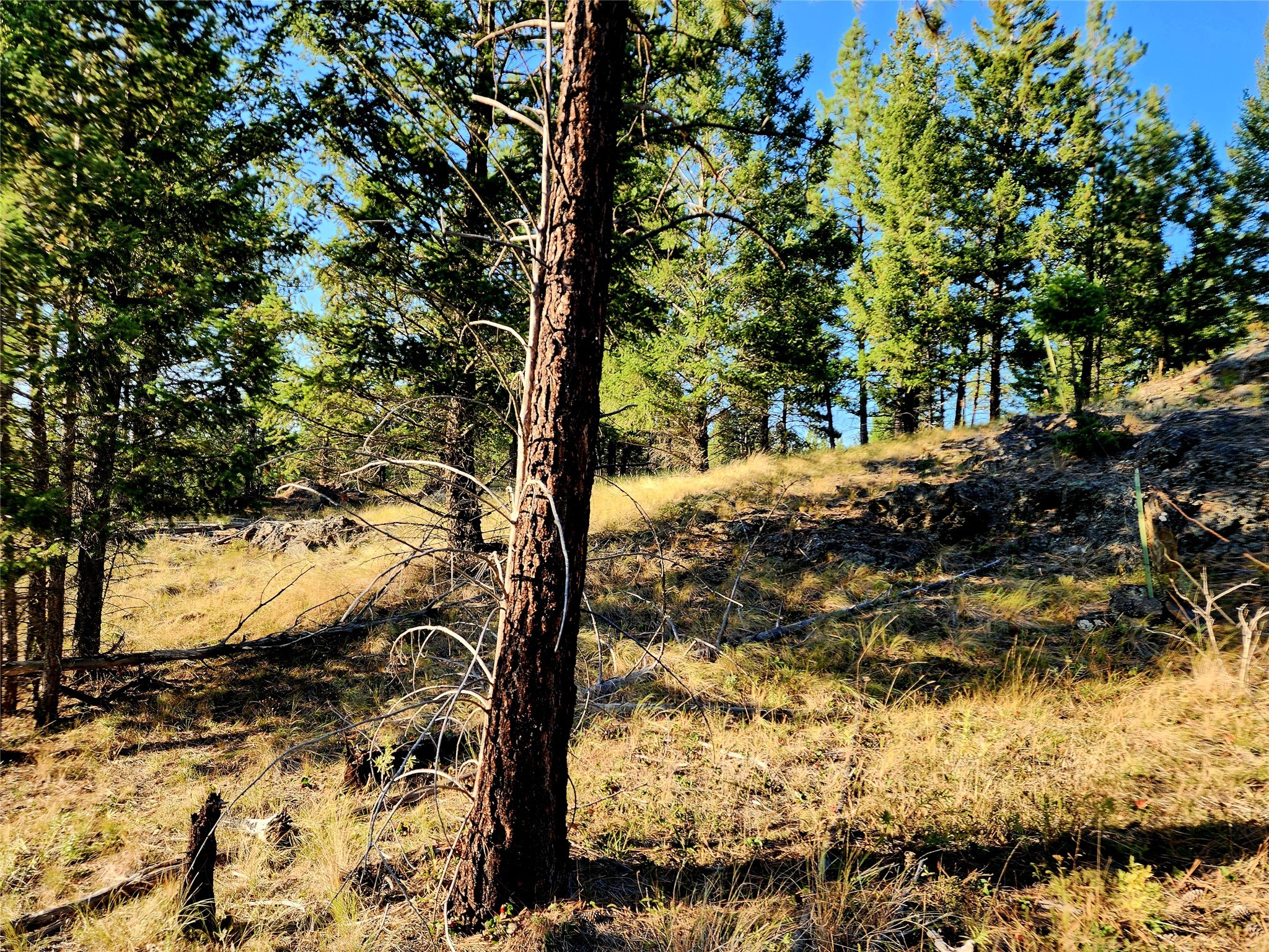 752 Tripp Trail