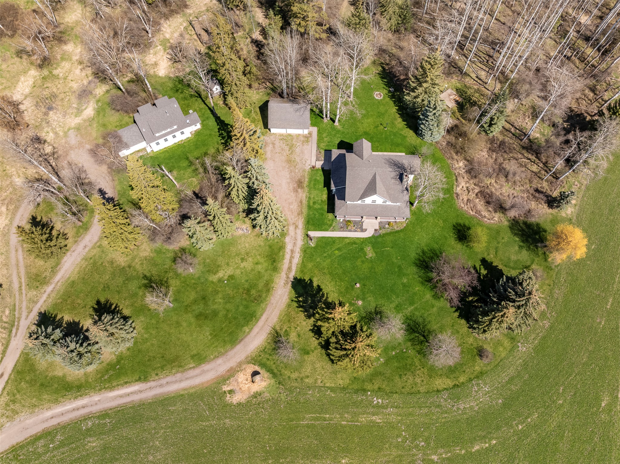 255 Sonstelie Lane