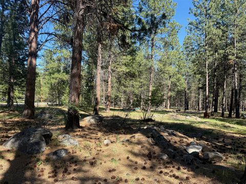 Tiny photo for 271 Wyant Lane, Hamilton, MT 59840 (MLS # 30071300)