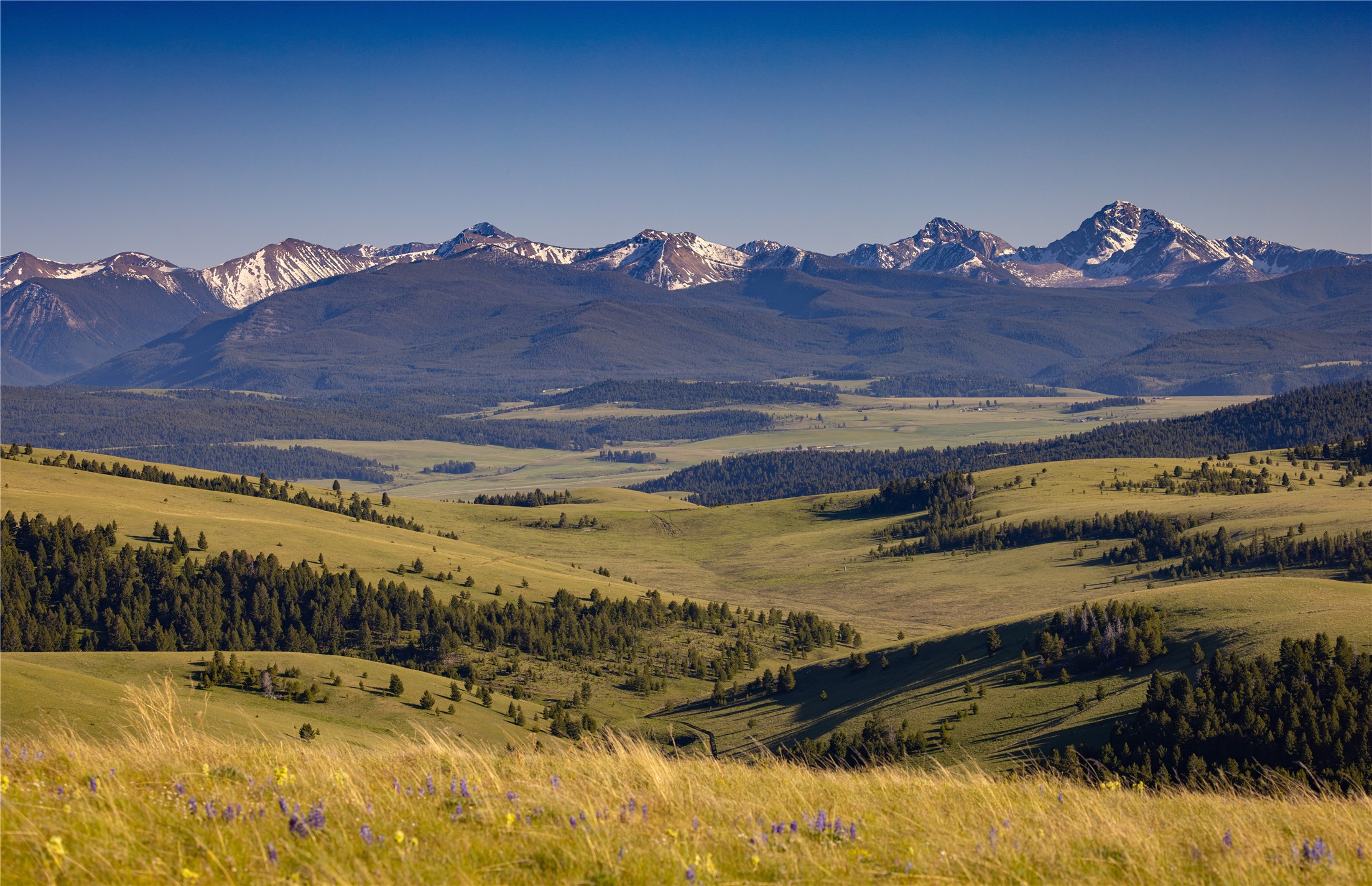 3793 MT Highway 1