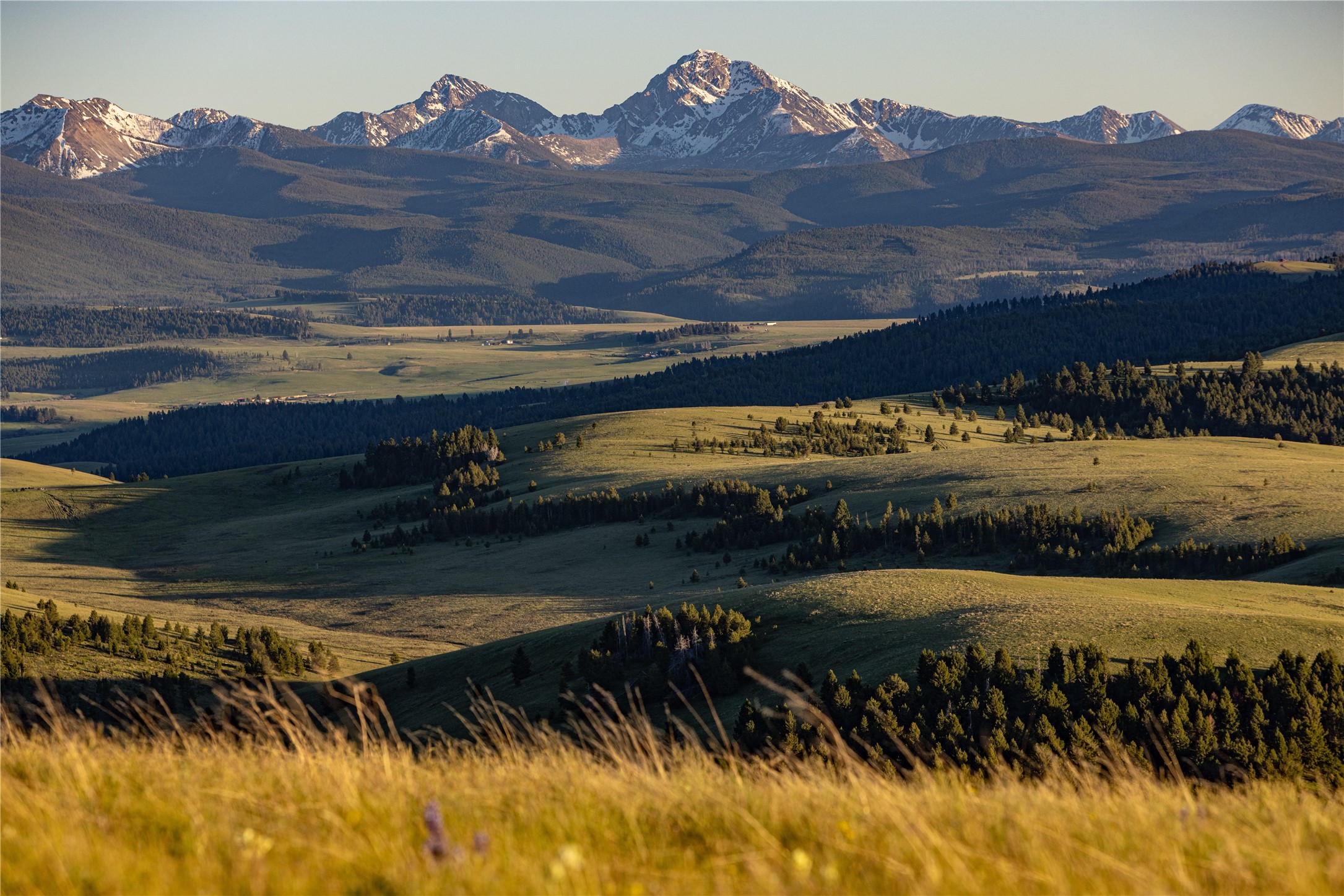 3793 MT Highway 1