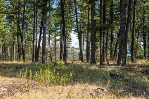 Tiny photo for 1243 Kienas Road, Kalispell, MT 59901 (MLS # 30075969)
