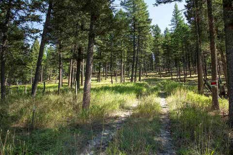 Tiny photo for 1243 Kienas Road, Kalispell, MT 59901 (MLS # 30075969)
