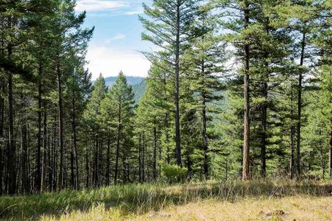 Tiny photo for 1243 Kienas Road, Kalispell, MT 59901 (MLS # 30075969)