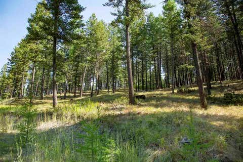 Tiny photo for 1243 Kienas Road, Kalispell, MT 59901 (MLS # 30075969)