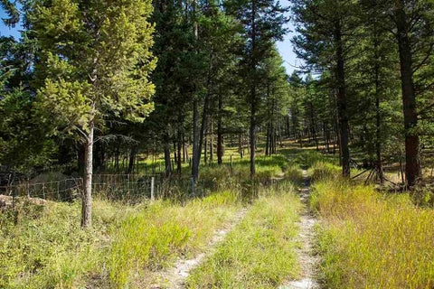 Tiny photo for 1243 Kienas Road, Kalispell, MT 59901 (MLS # 30075969)