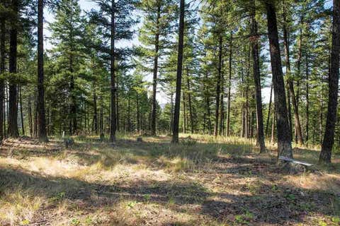 Tiny photo for 1243 Kienas Road, Kalispell, MT 59901 (MLS # 30075969)