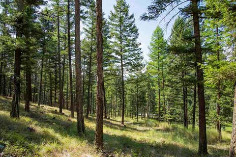 Tiny photo for 1243 Kienas Road, Kalispell, MT 59901 (MLS # 30075969)
