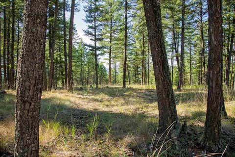 Tiny photo for 1243 Kienas Road, Kalispell, MT 59901 (MLS # 30075969)