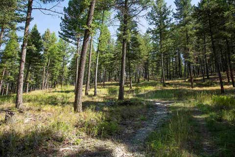 Tiny photo for 1243 Kienas Road, Kalispell, MT 59901 (MLS # 30075969)