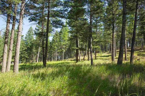 Photo of 1243 Kienas Road, Kalispell, MT 59901 (MLS # 30075969)