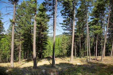 Tiny photo for 1243 Kienas Road, Kalispell, MT 59901 (MLS # 30075969)