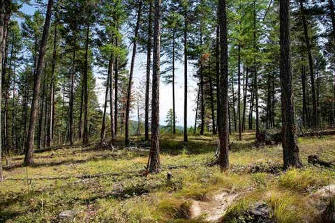 Tiny photo for 1243 Kienas Road, Kalispell, MT 59901 (MLS # 30075969)